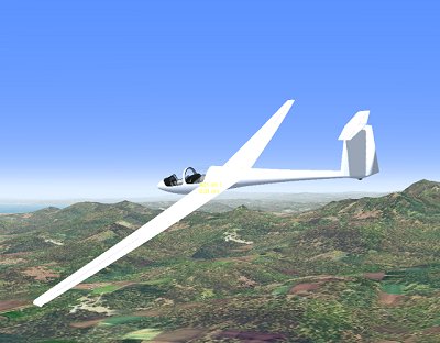 Essential Gliders