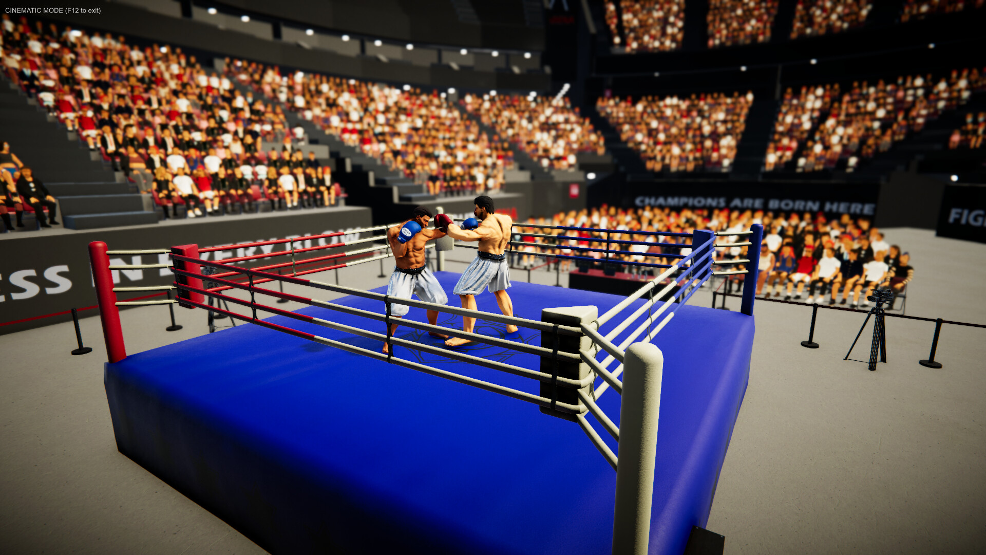 Corner King: Boxing Manager screenshot #3