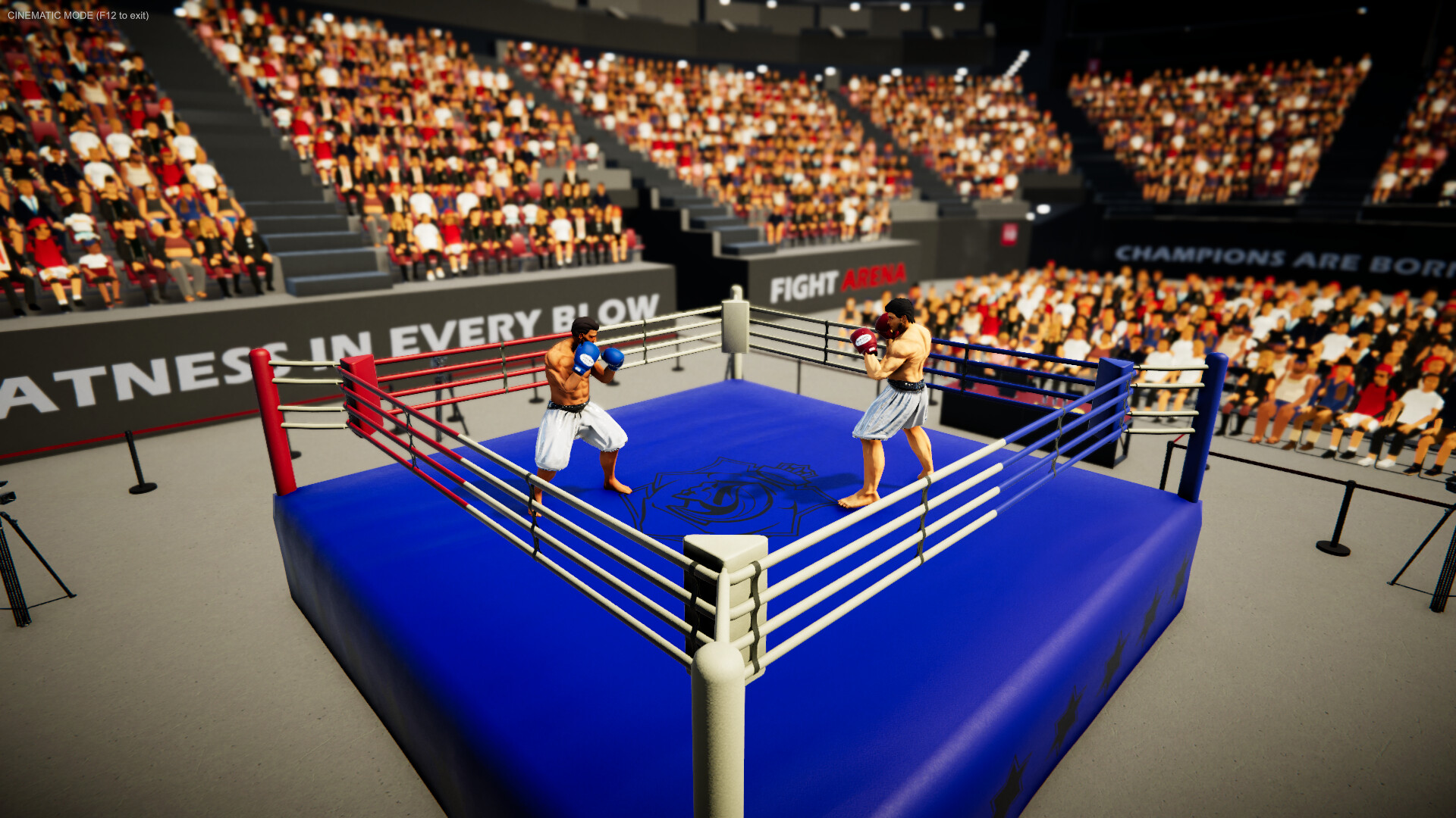 Corner King: Boxing Manager screenshot #12