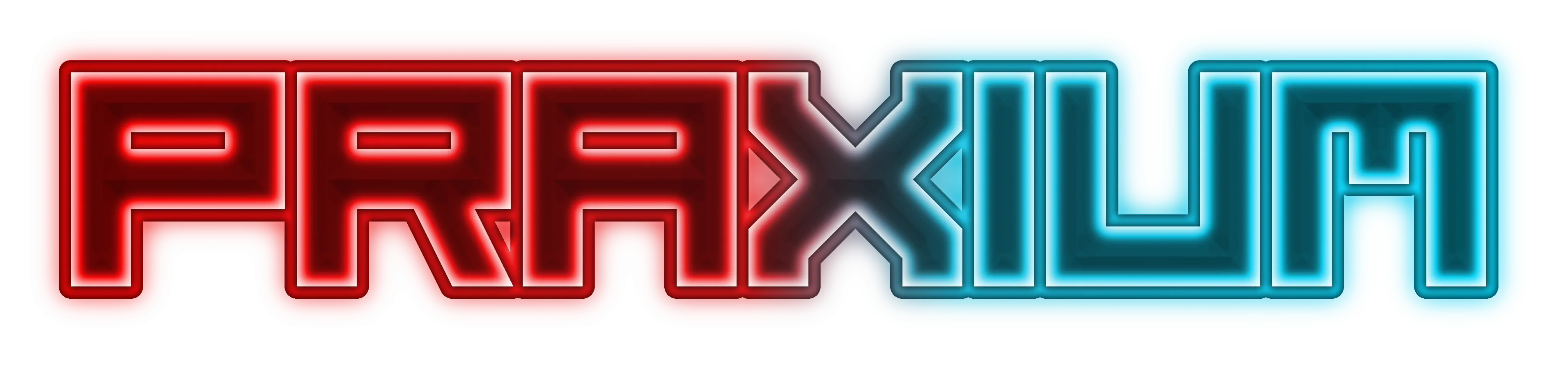 Praxium title logo