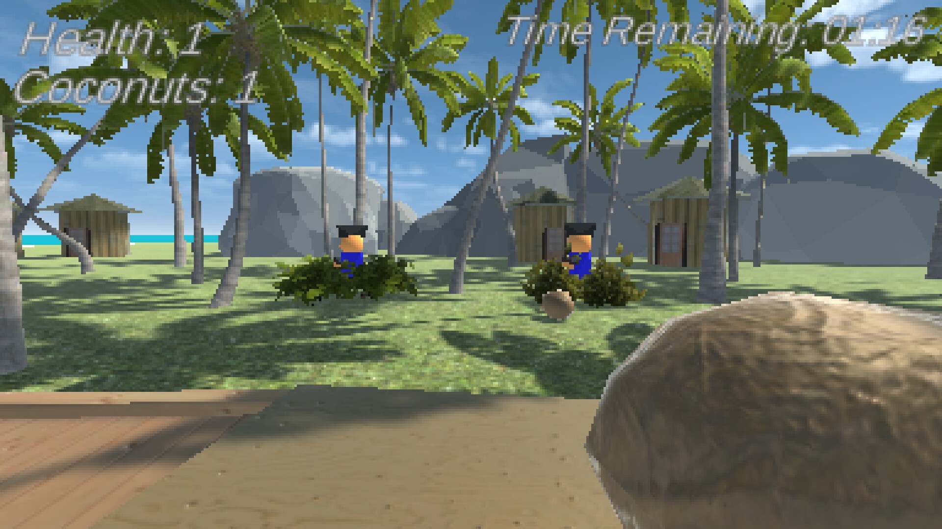 Coconut Party
