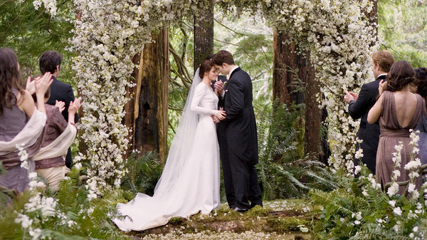 The Twilight Saga: Breaking Dawn Part 1 screenshot 5
