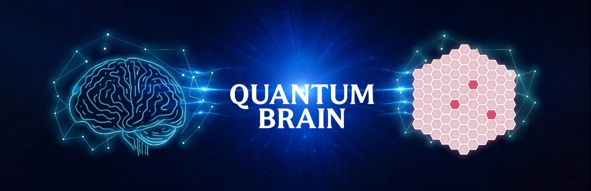 Quantum Brain