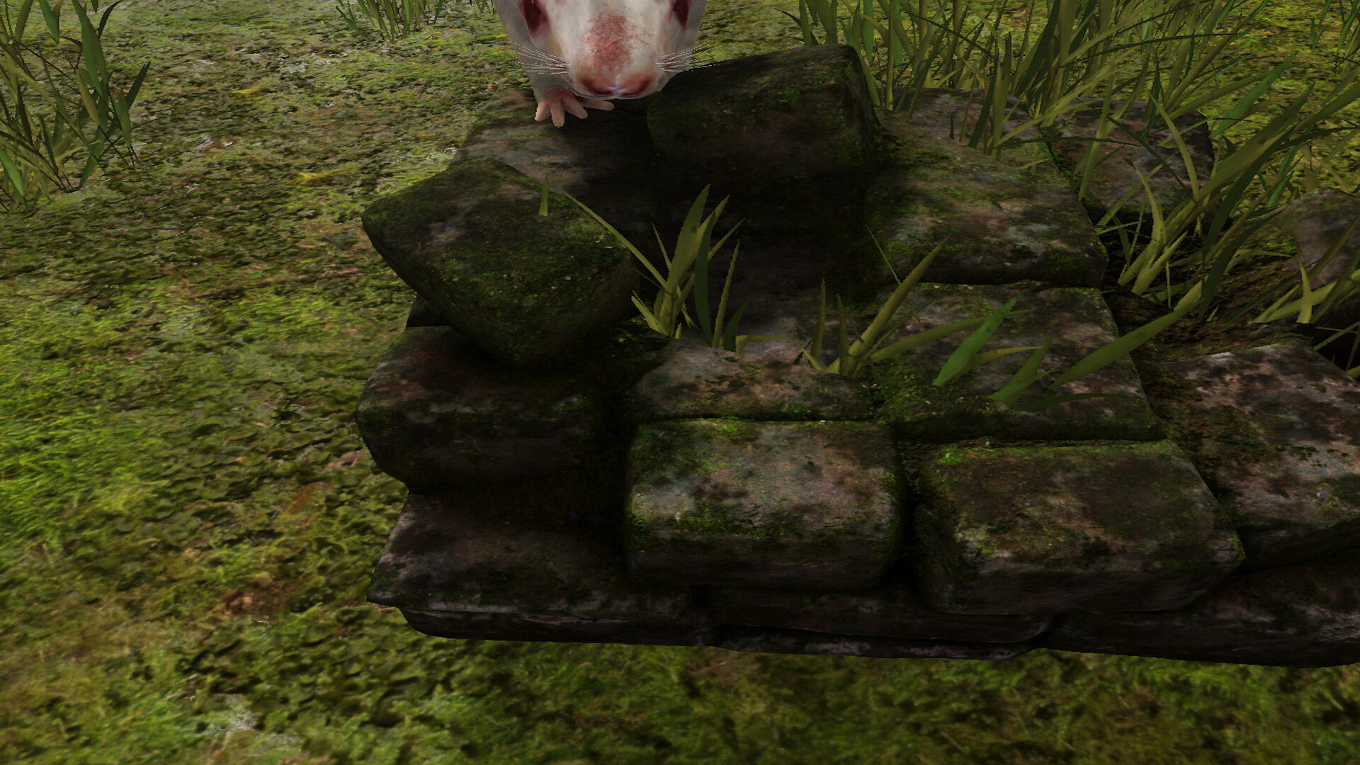 Survival Quest Dungeons and the Beasts screenshot #9