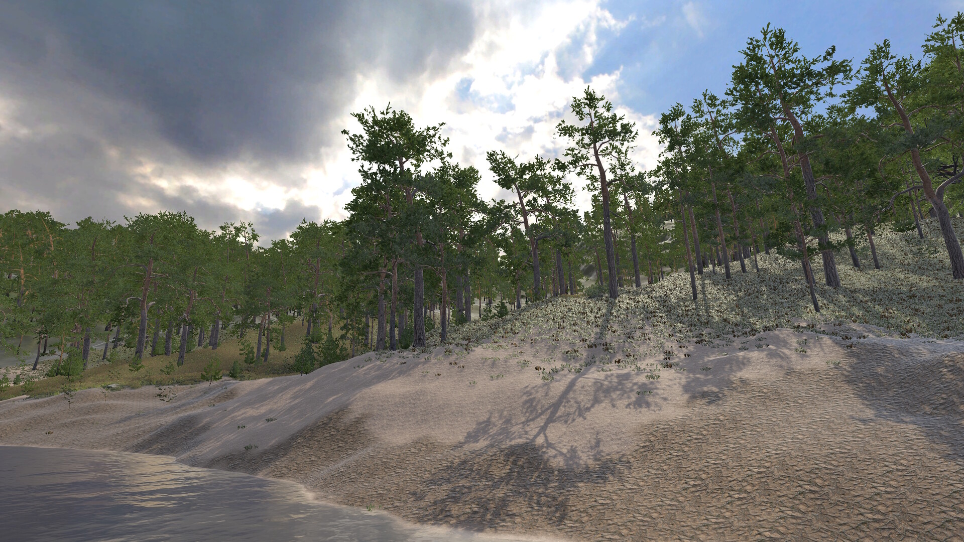 Infinite Orienteering: The Hiker's Path screenshot 4
