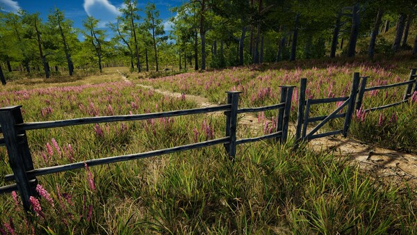 Infinite Orienteering: The Hiker's Path — 9