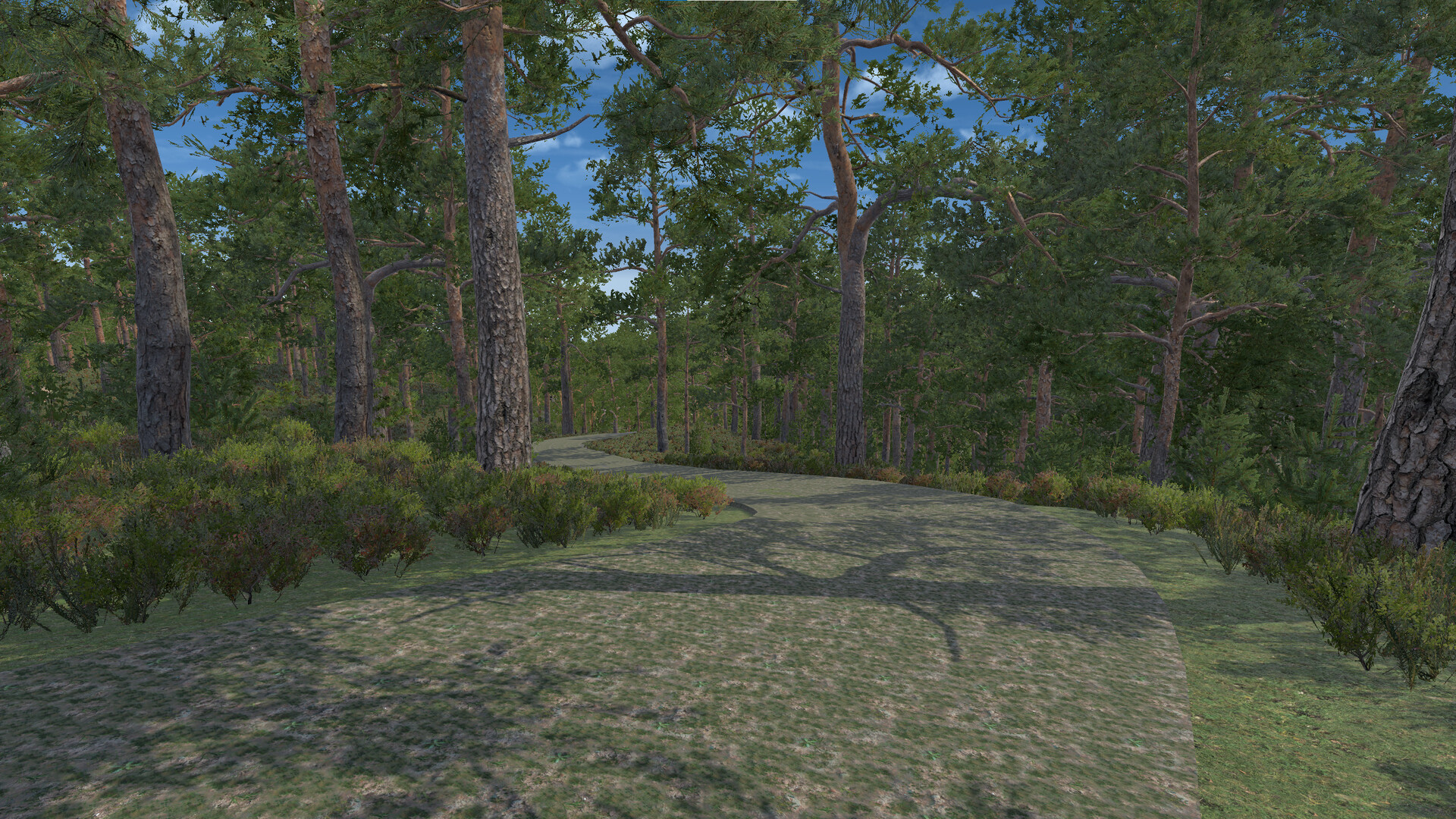 Infinite Orienteering: The Hiker's Path screenshot 12