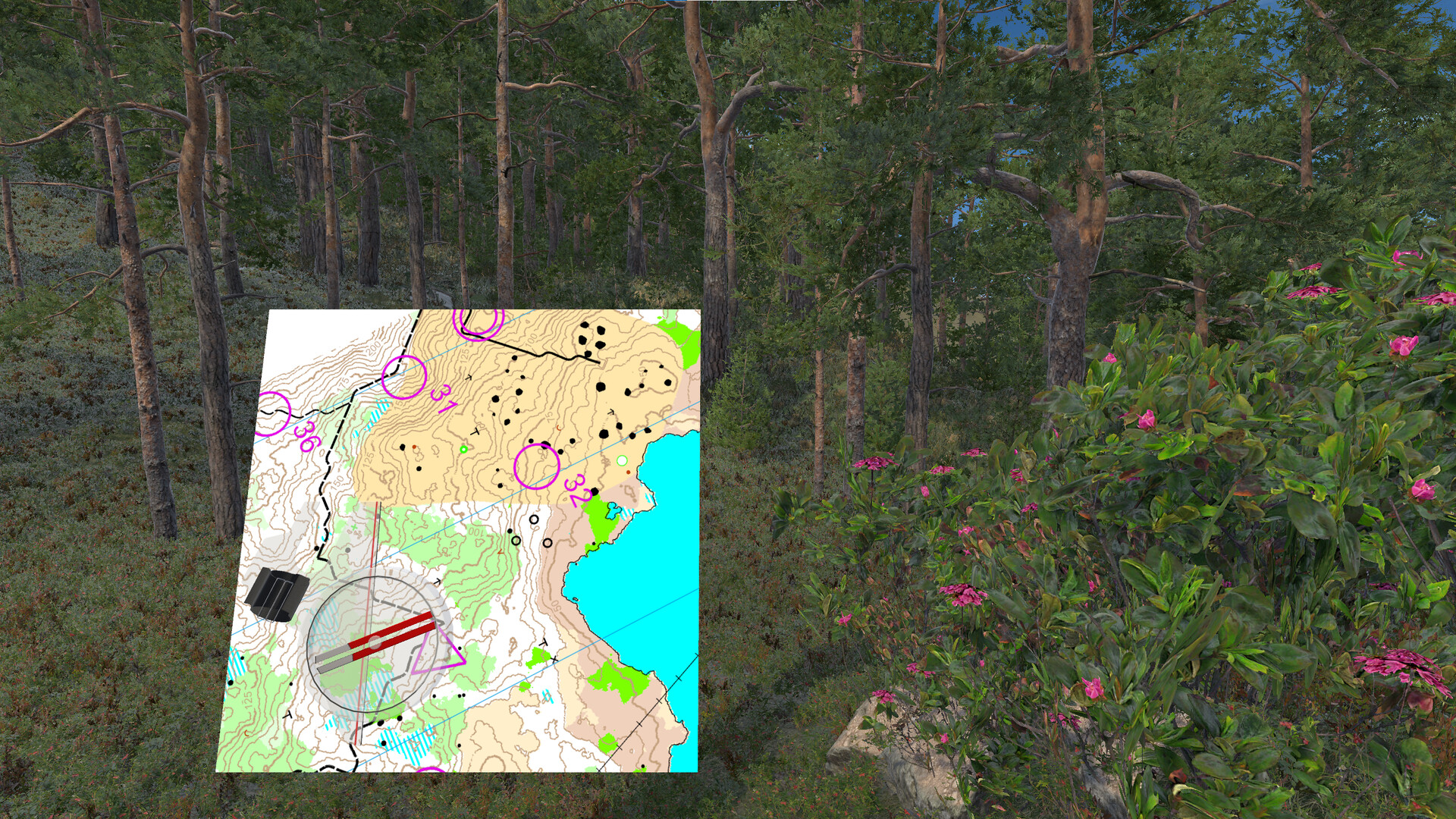 Infinite Orienteering: The Hiker's Path screenshot 1