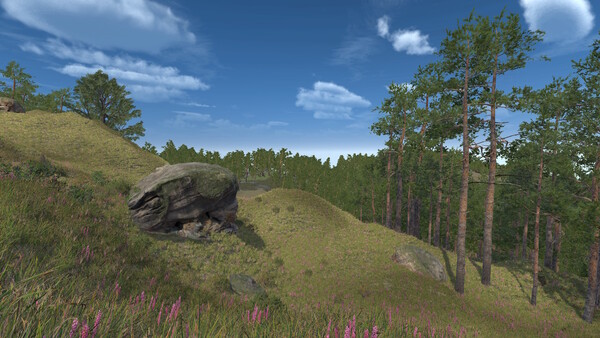 Скриншот 5 из игры Infinite Orienteering: The Hiker's Path