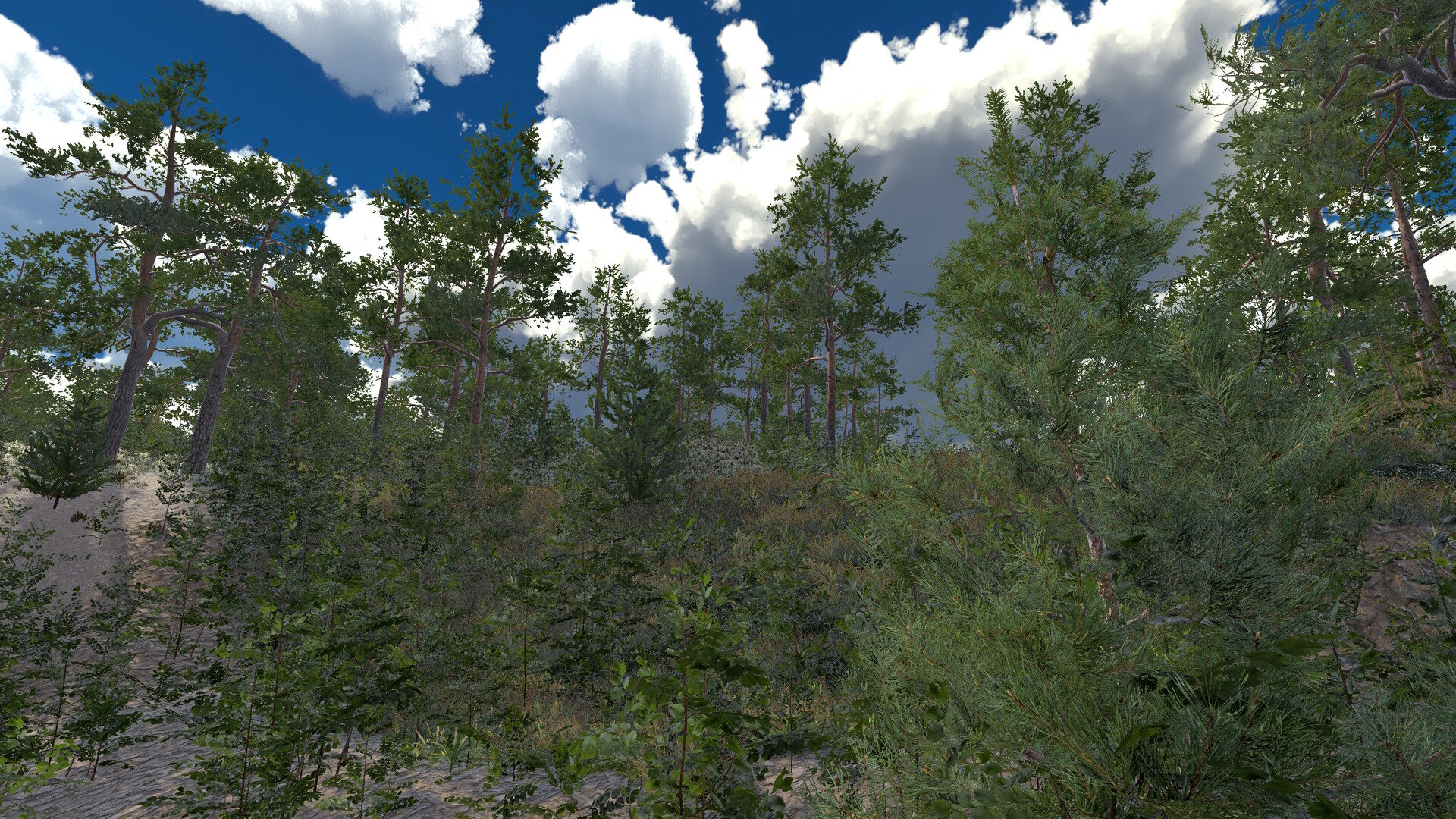 Infinite Orienteering: The Hiker's Path screenshot 8