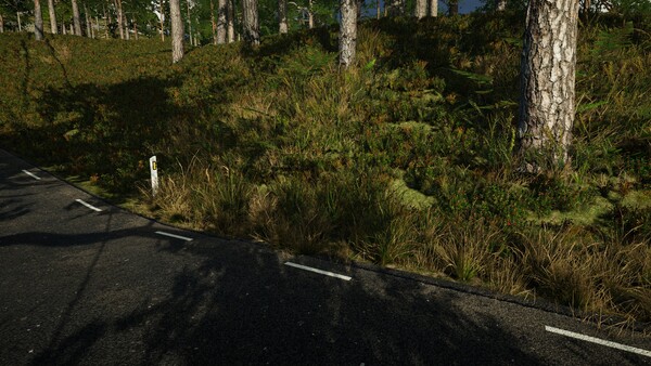 Infinite Orienteering: The Hiker's Path — 14