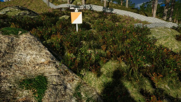 Infinite Orienteering: The Hiker's Path — 11