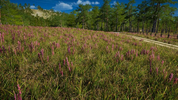 Infinite Orienteering: The Hiker's Path screenshot 2
