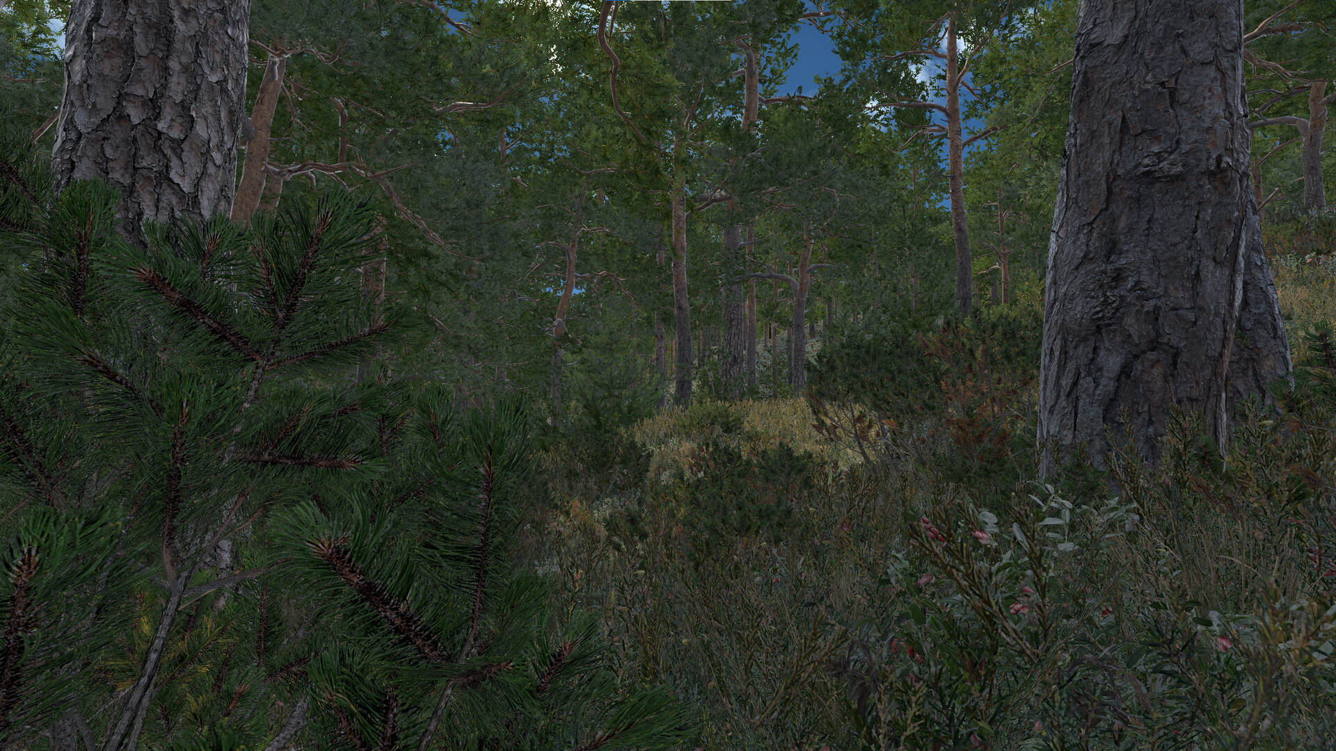 Infinite Orienteering: The Hiker's Path screenshot 10