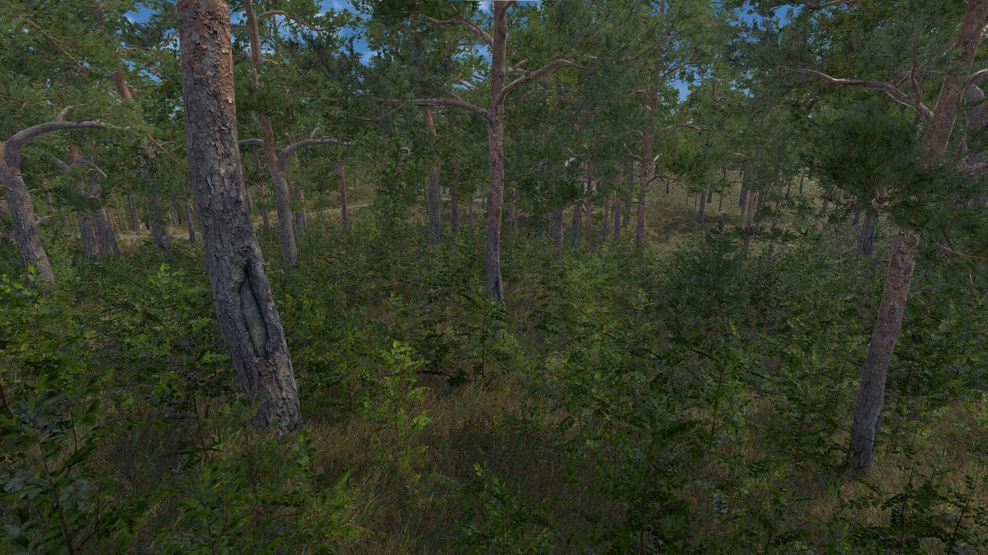Infinite Orienteering: The Hiker's Path screenshot 13
