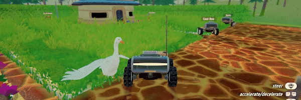 Grass video 1