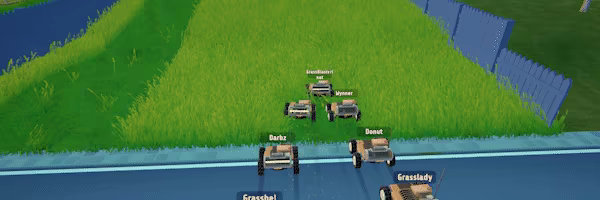 Grass video 4
