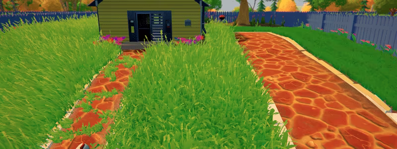 Grass video 3