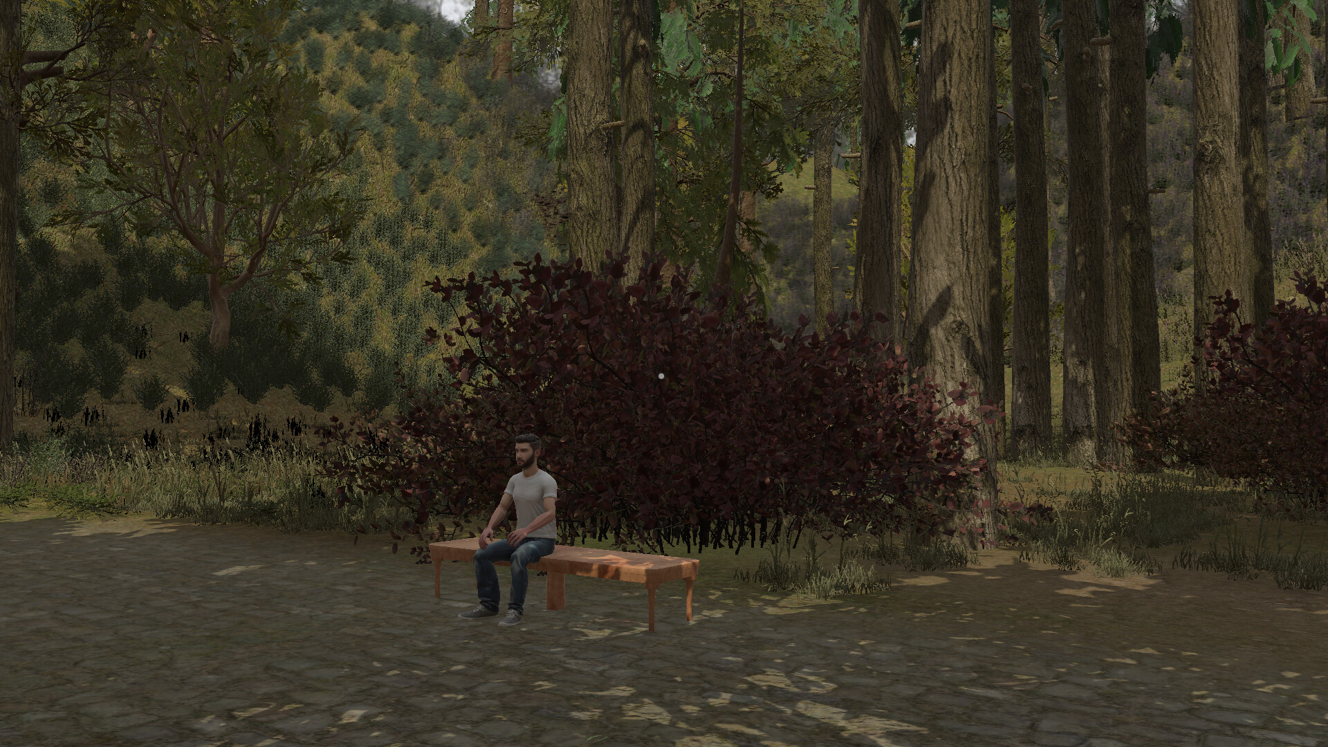 Whispers of Appalachia screenshot #12