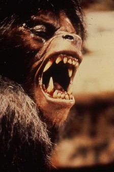 An American Werewolf in London screenshot 6