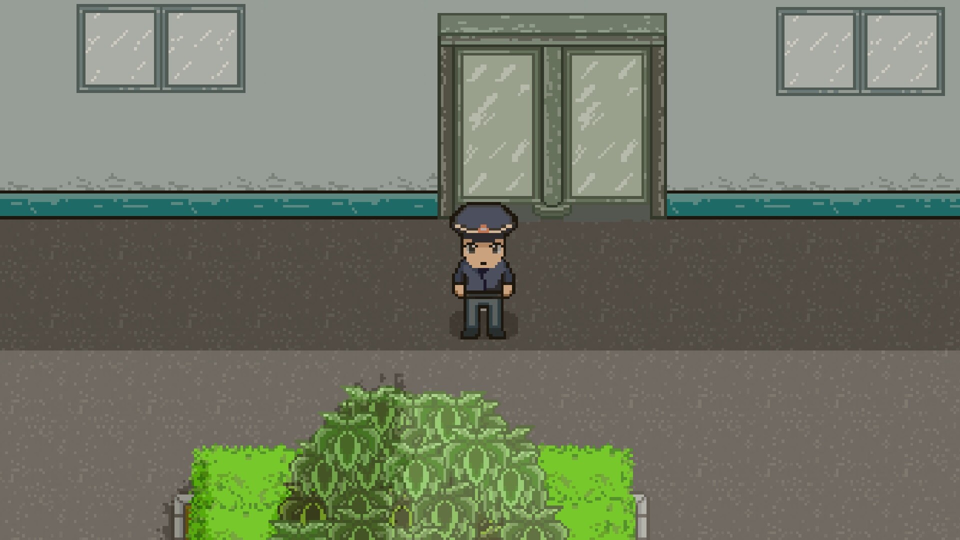 栀子花 screenshot #8