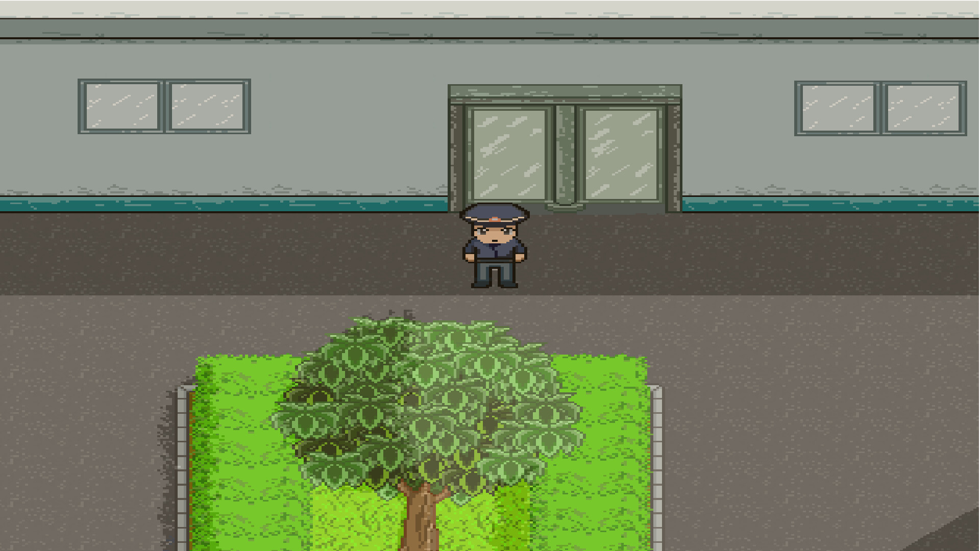 栀子花 screenshot #8