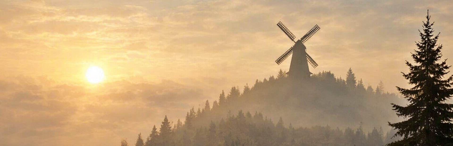 Medieval Life Simulator