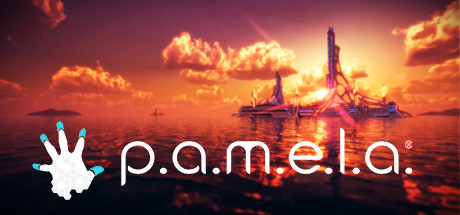 P.A.M.E.L.A.® crack status