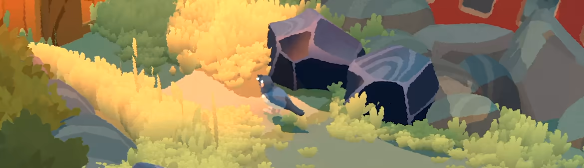 Bad Magpie video 1