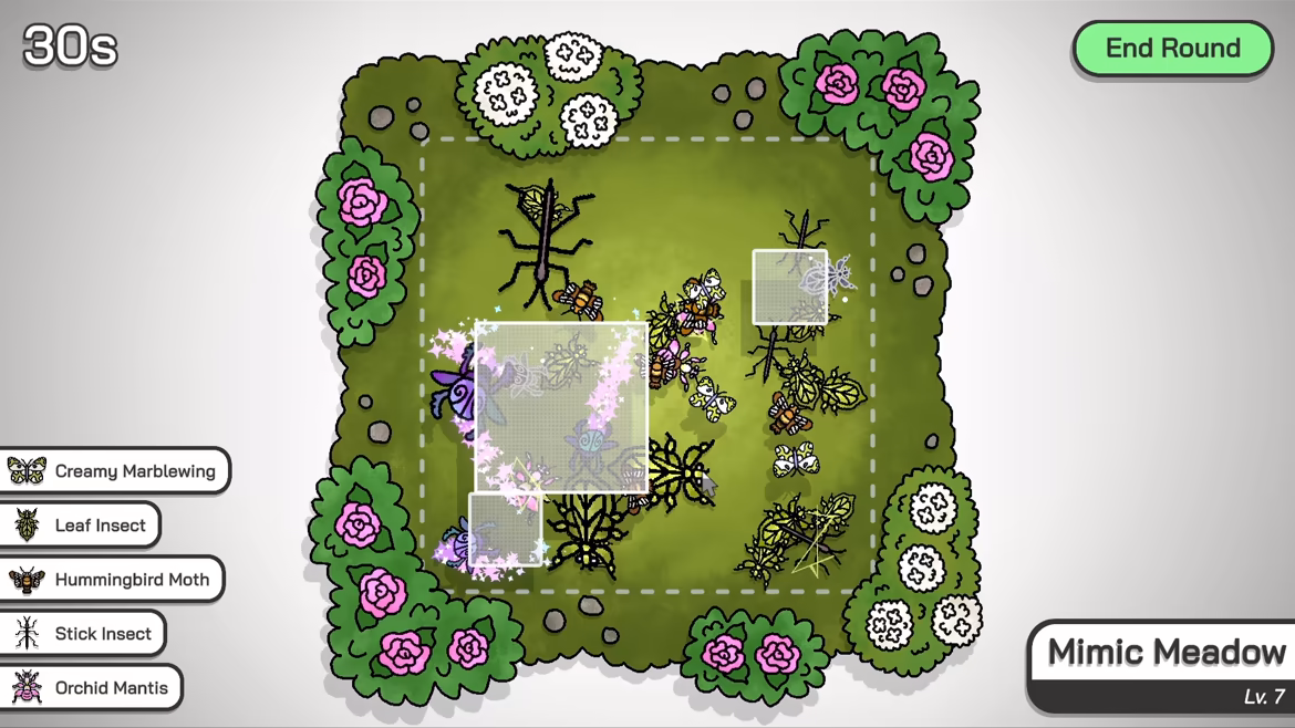Budgie's Bug Shop video 4