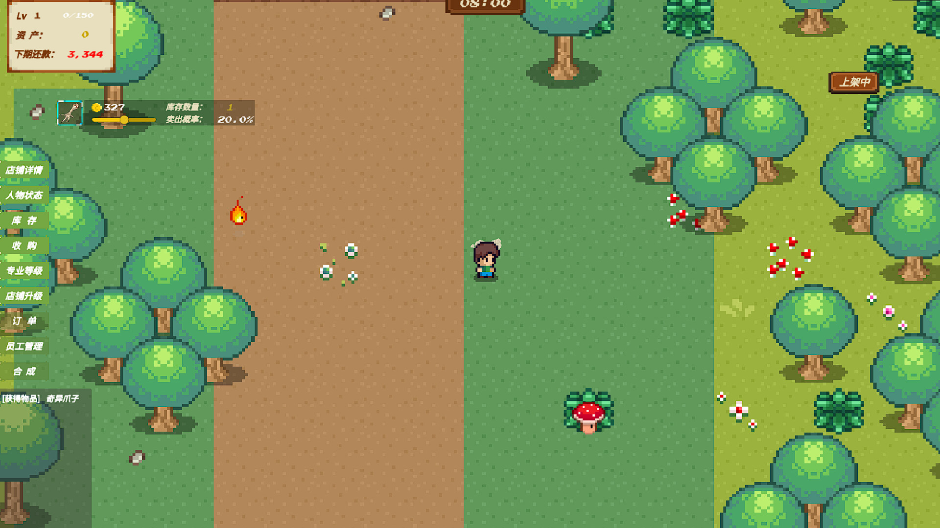 Arcane Store screenshot #10