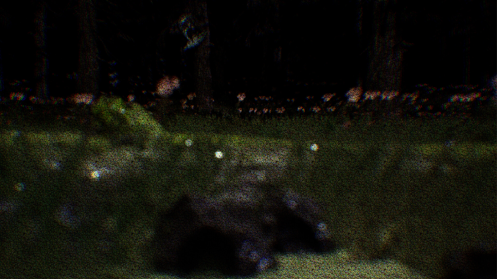 SEGMENTS screenshot #2