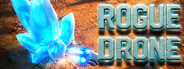 Rogue Drone