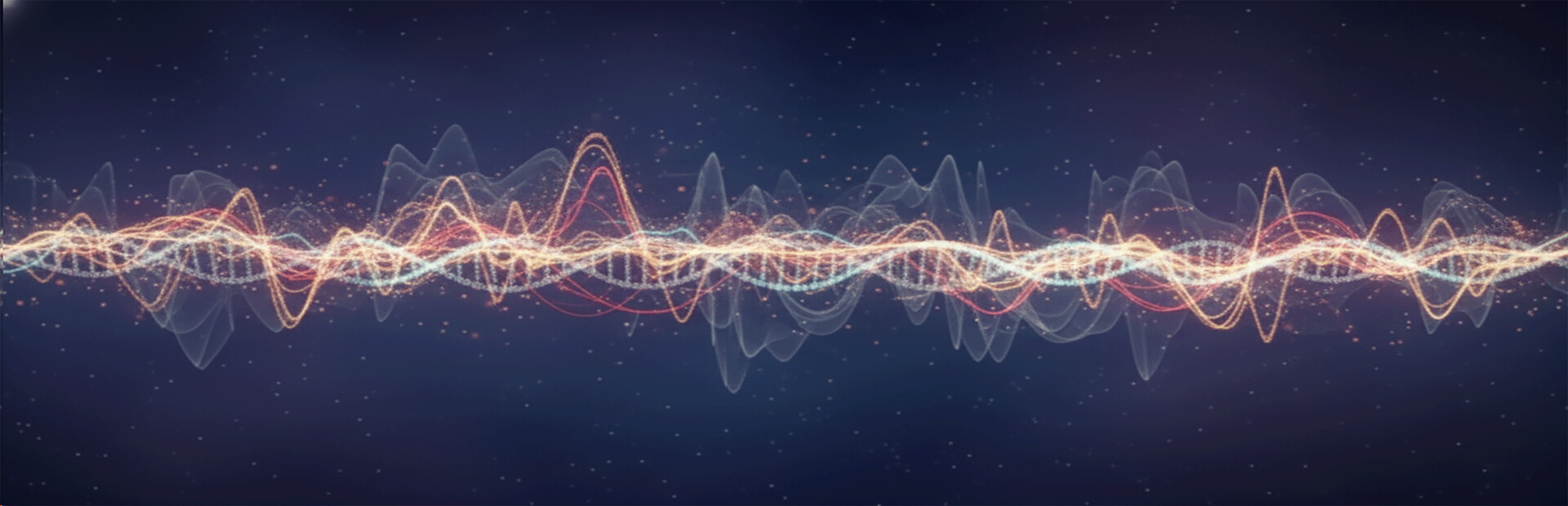Jingjie: Signals