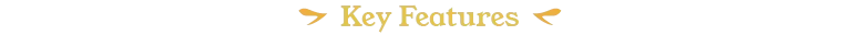 Key Features