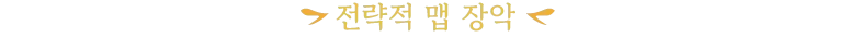 전략적 맵 장악