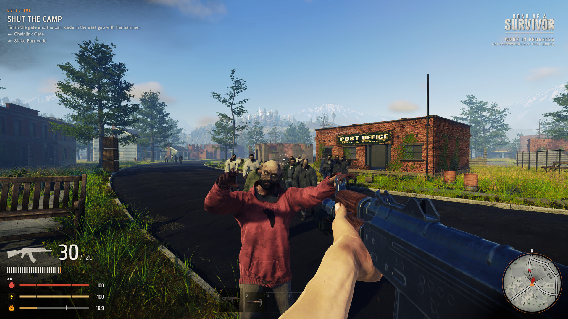 Road of a Survivor