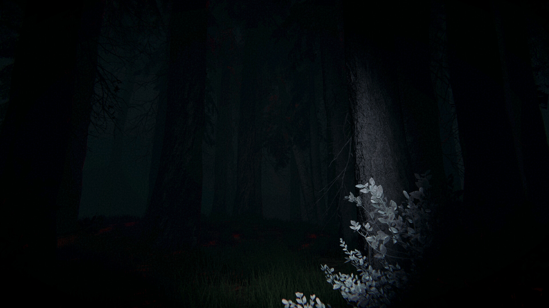 Shroud of the Woods screenshot #3