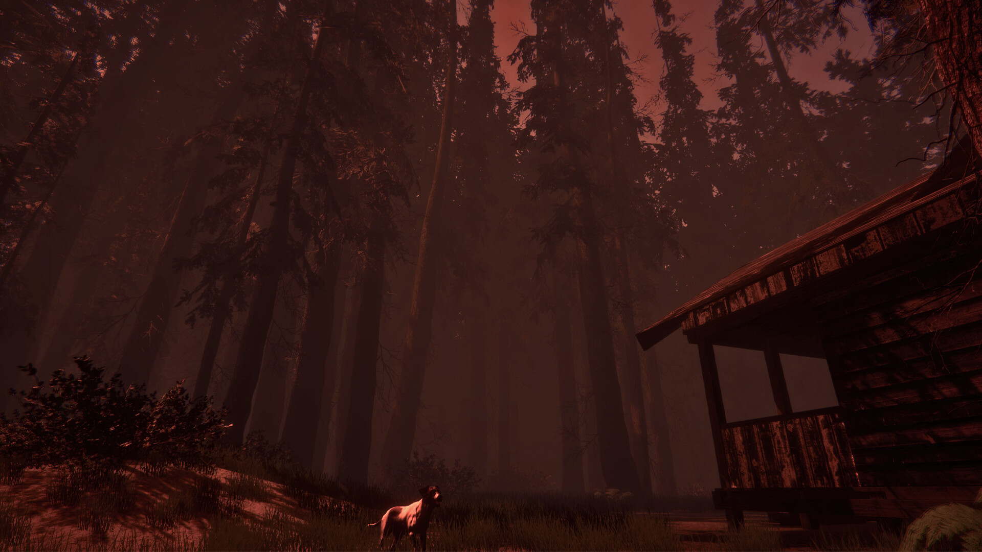 Shroud of the Woods screenshot