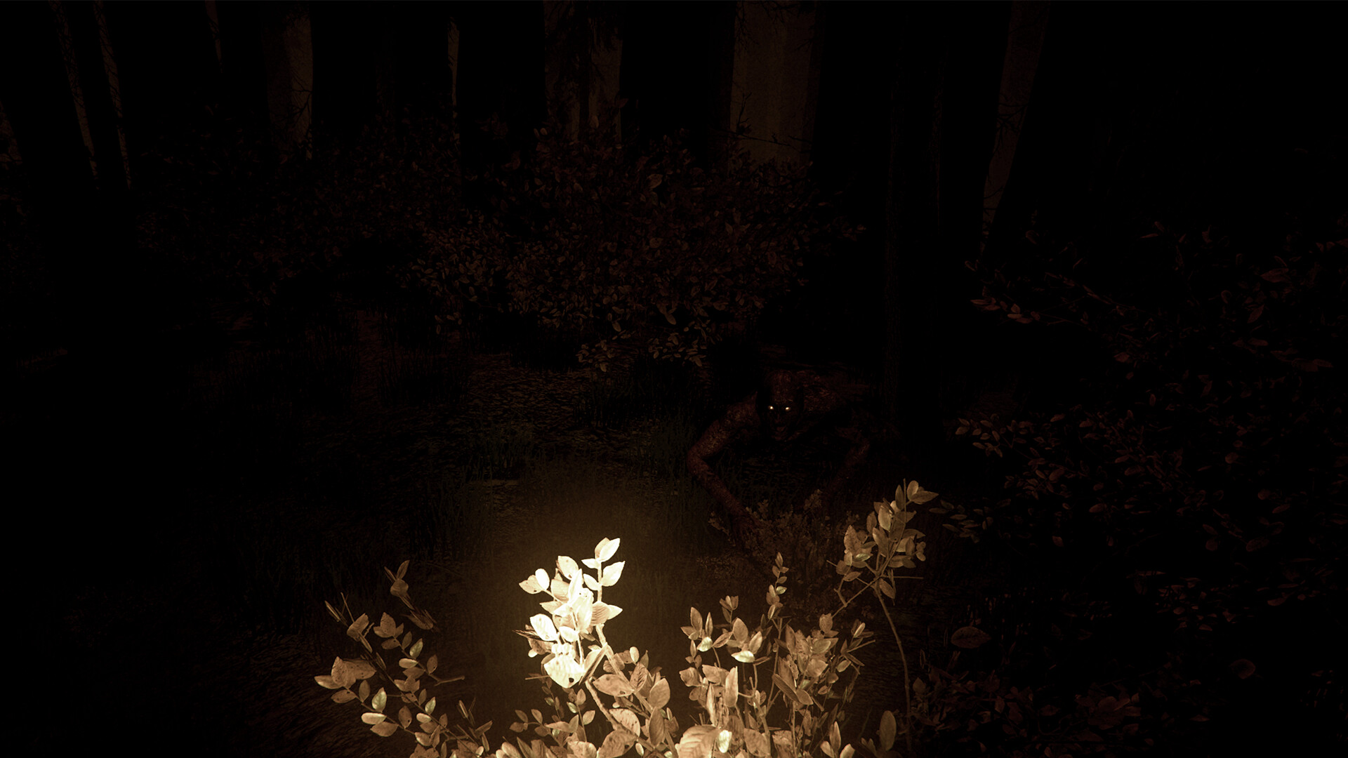 Shroud of the Woods screenshot #2