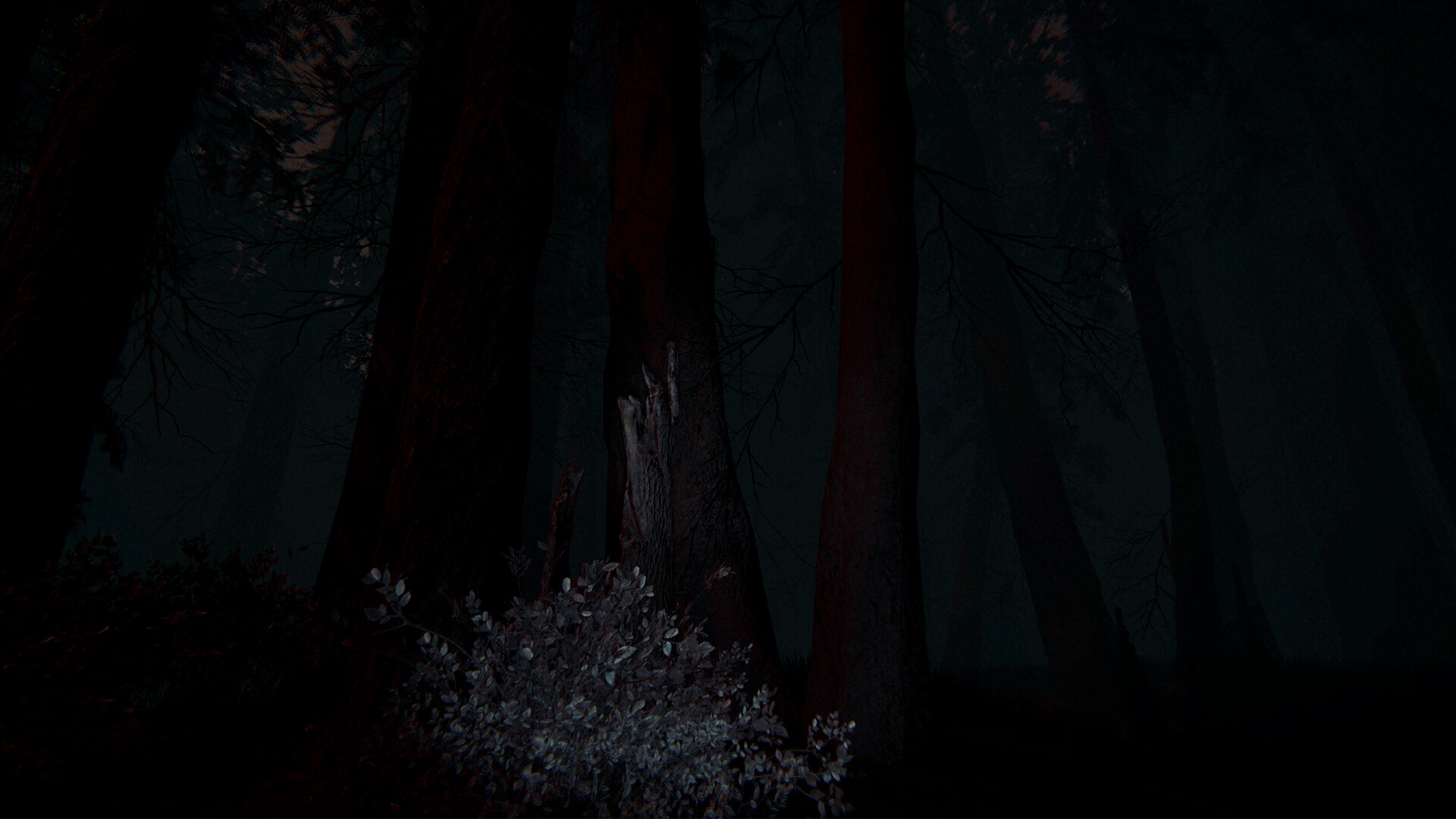 Shroud of the Woods screenshot #7