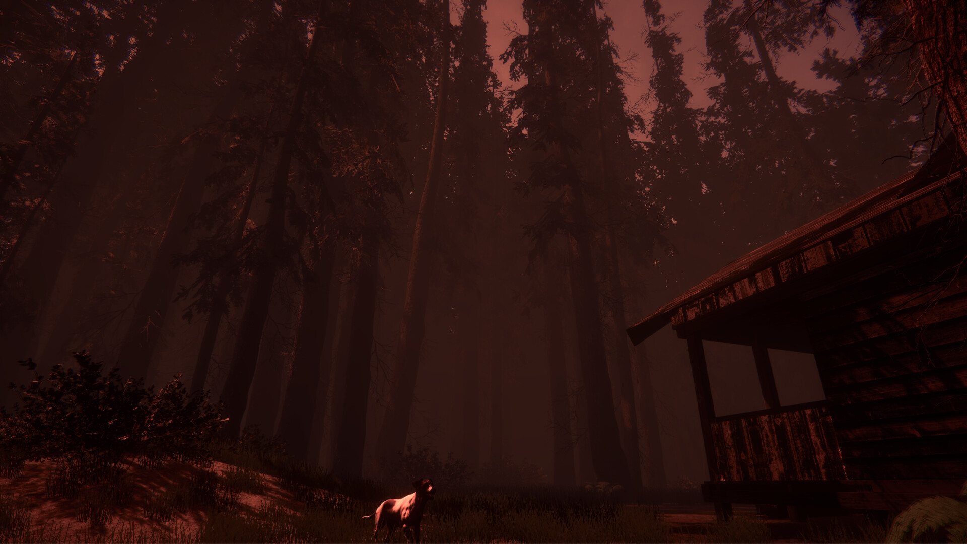 Shroud of the Woods screenshot #1