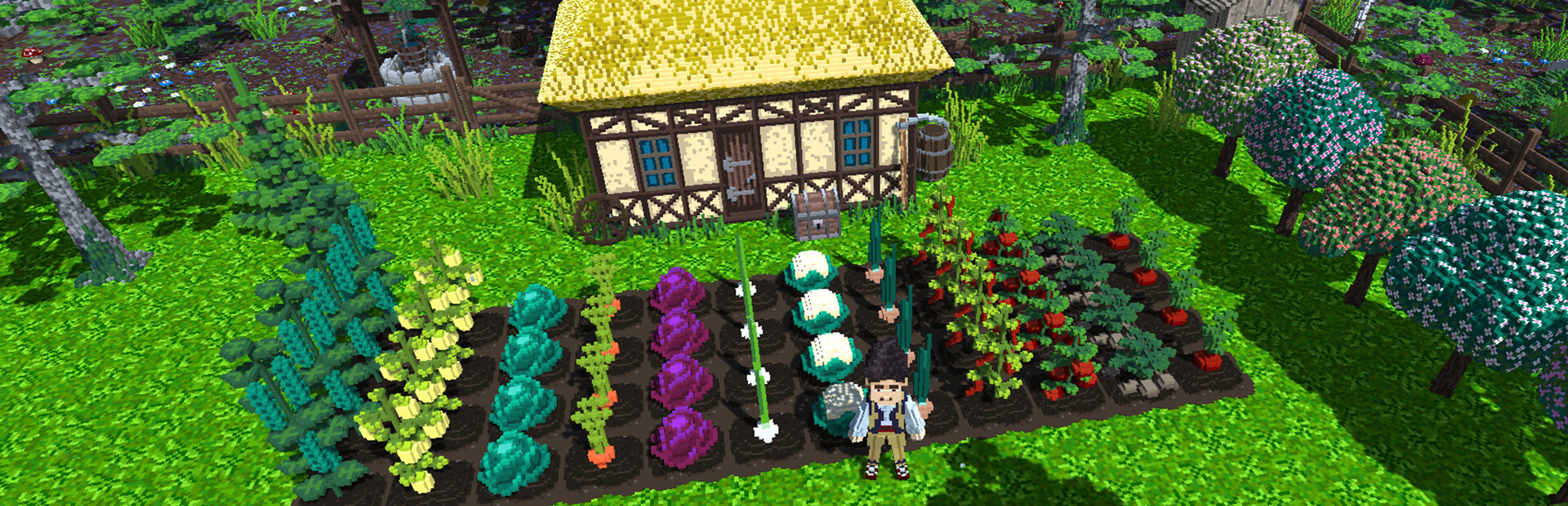 Rural