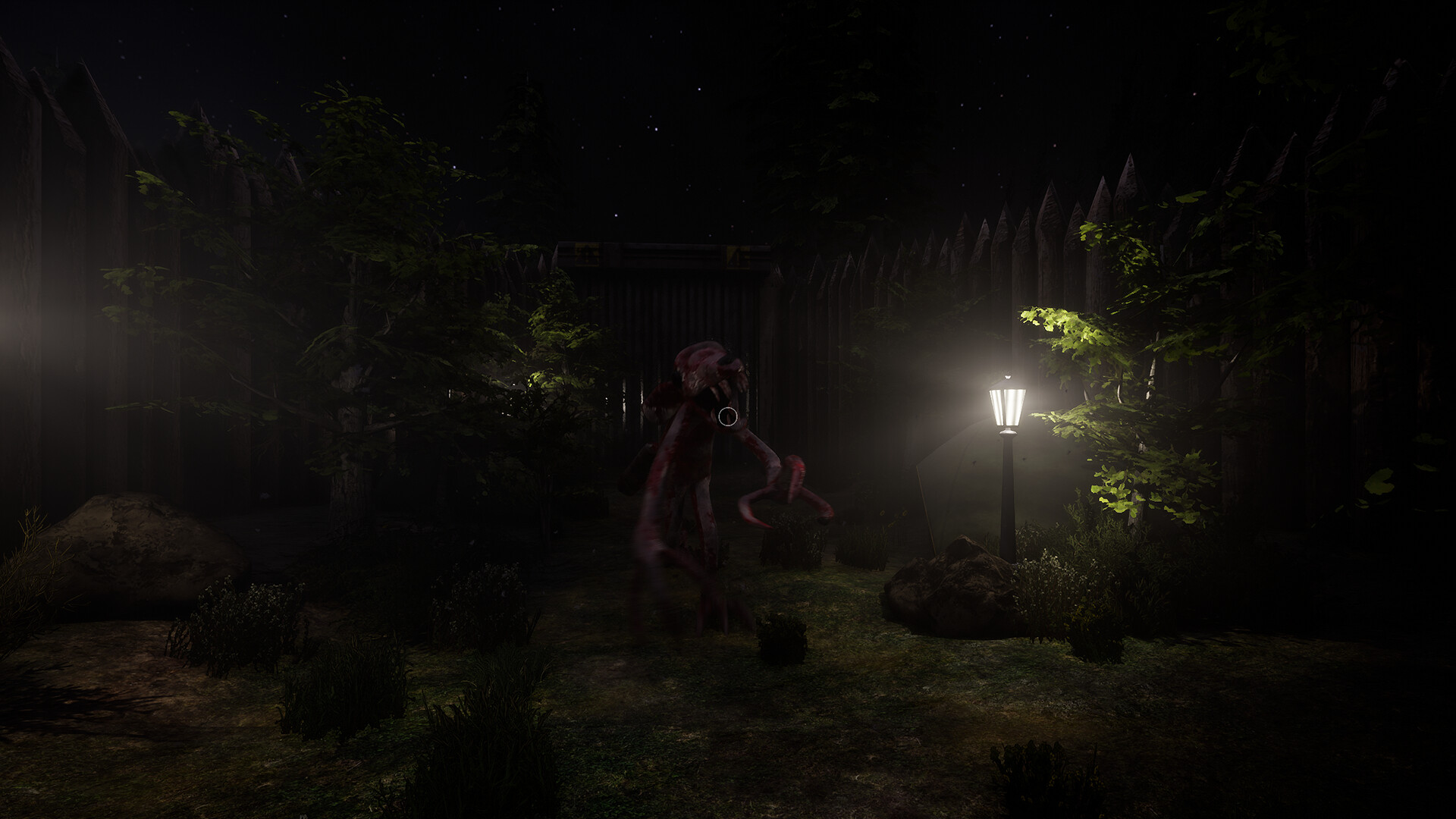 Camp Hollow