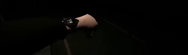 Crooked Pines video 4