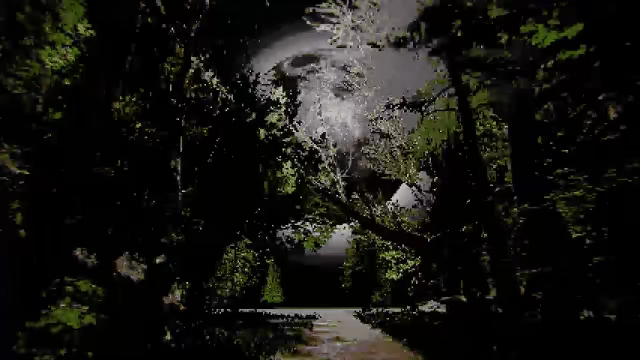 Memories Loaming video 2