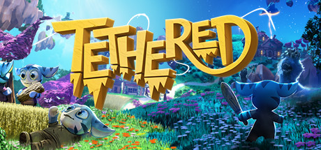 Tethered banner image