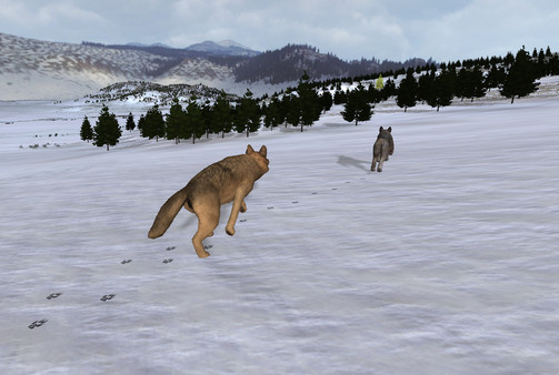 WolfQuest: Classic.