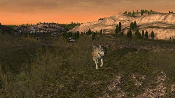 Screenshot z WolfQuest: Classic