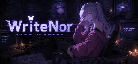WriteNor